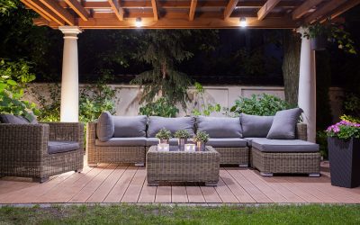 5 Great Plants for Your Patio